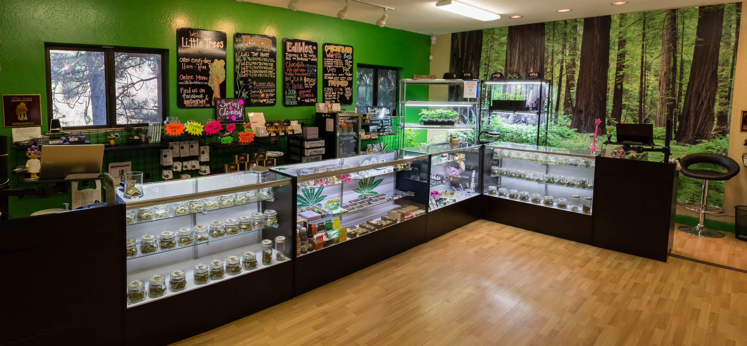 Leafly List The Best Cannabis Dispensaries in Northern California